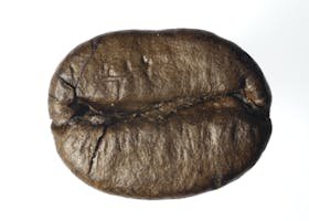 Detailed macro shot of a single roasted coffee bean on a white background.